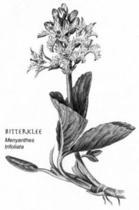 Bitterklee / Kräuterlikör "Mutters Bester Tropfen"